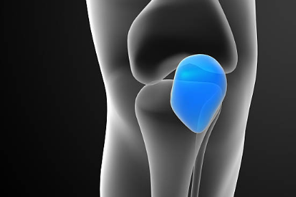 내측 반월산 연골 손상