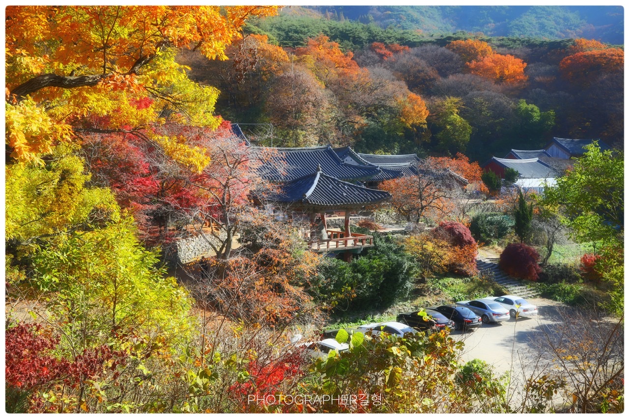 [4월 봄꽃 여행]서산 개심사 겹벚꽃&middot;청벚꽃 여행기❘벚꽃 개화 상황, 아직은 시작, 그러나 곧 절정