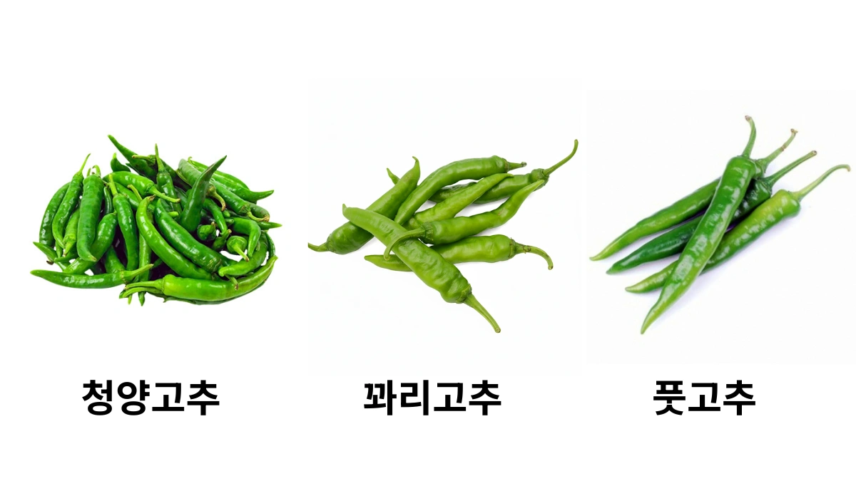 ๋ฒ ๋๋ค์์ ํค์ธ์ ์๋ ๊ณ ์ถ ์ข
๋ฅ