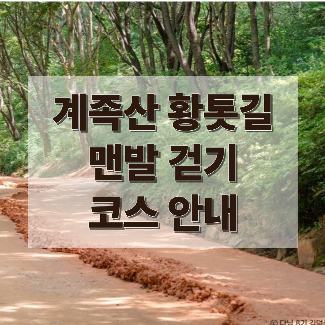 계족산 황토길(황톳길)