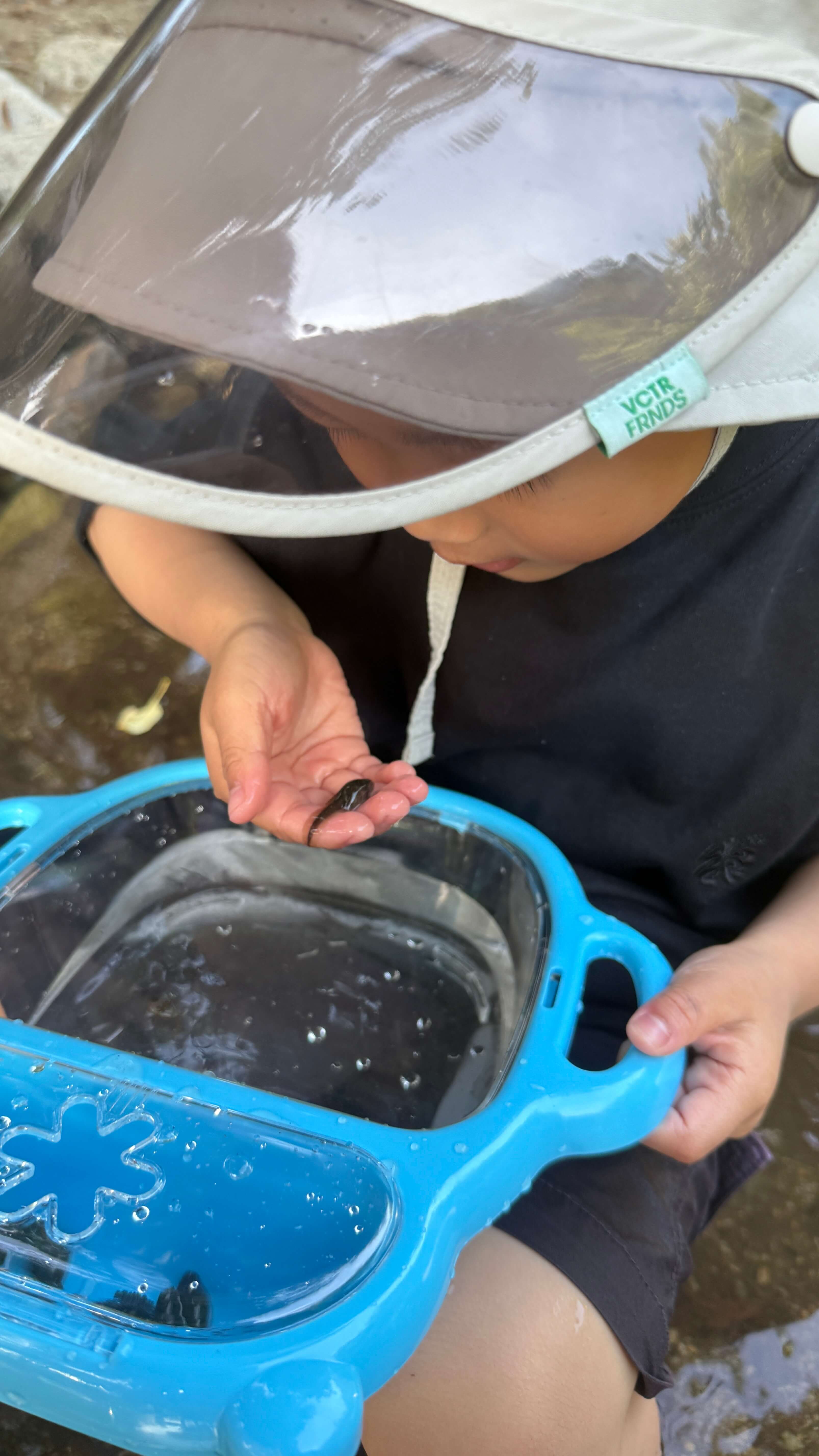 계곡 물놀이 준비물_다슬기채집통