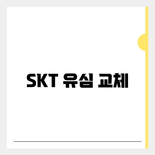 SKT 유심 교체, 대리점 조회 방법 비용