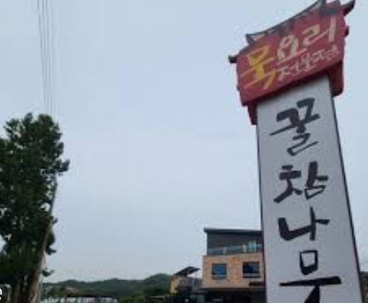 꿀참나무