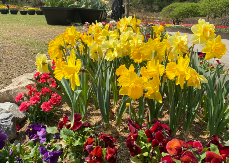 피나클랜드 수목원