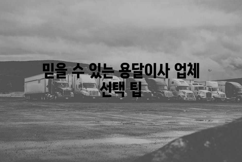 믿을 수 있는 용달이사 업체 선택 팁