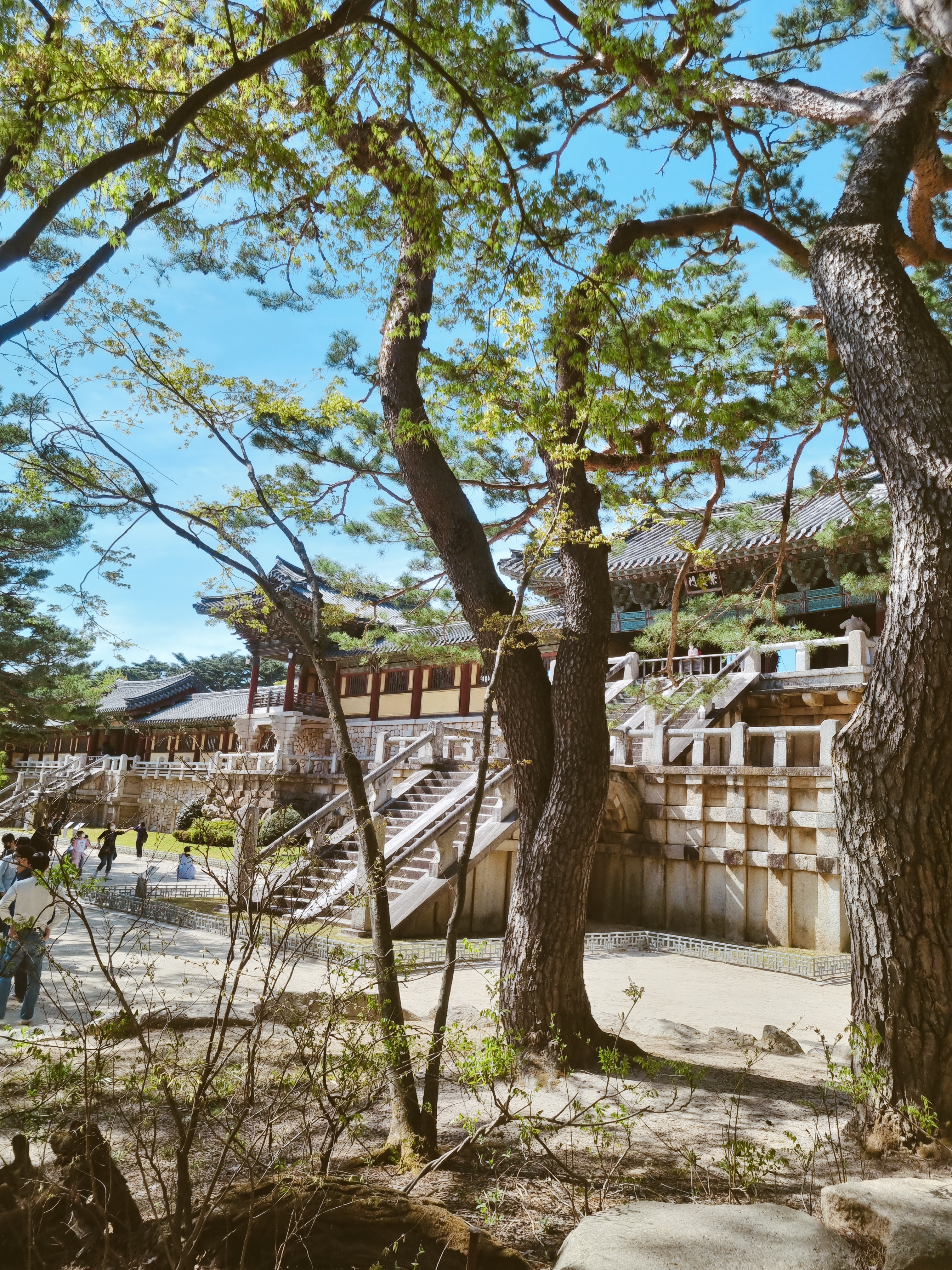 경주 불국사