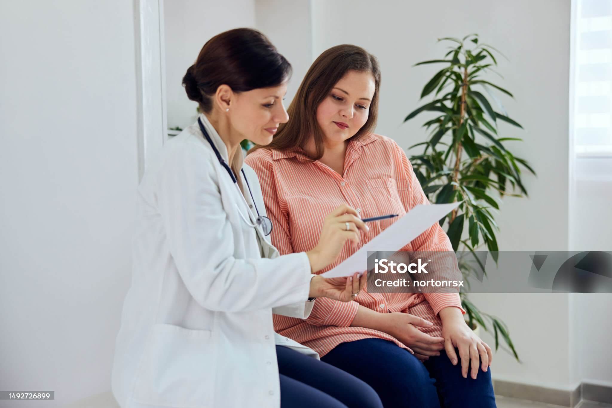 고지혈증은 뇌를 먼저 늙게 만든다 독성물질 중성지방