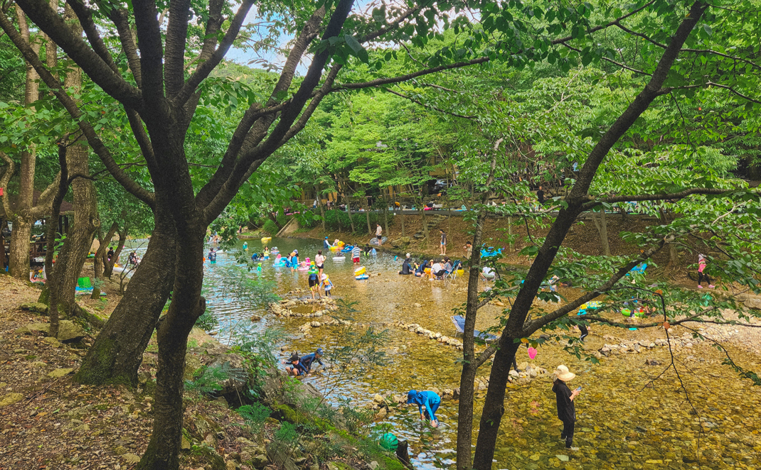 완주 고산자연휴양림