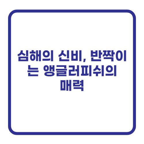 심해의 신비, 반짝이는 앵글러피쉬의 매력