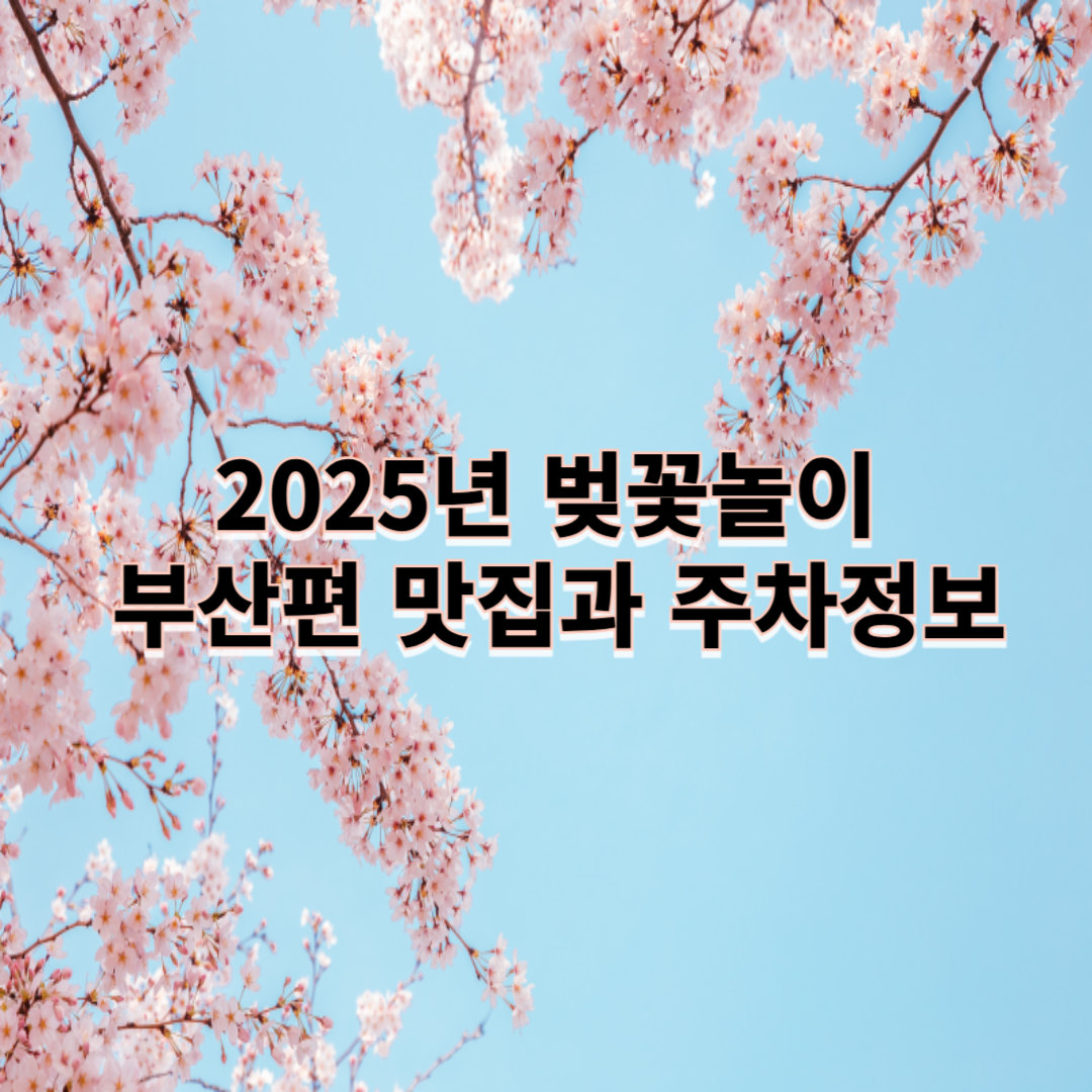 2025년 벚꽃놀이 : 부산편 맛집과 주차정보