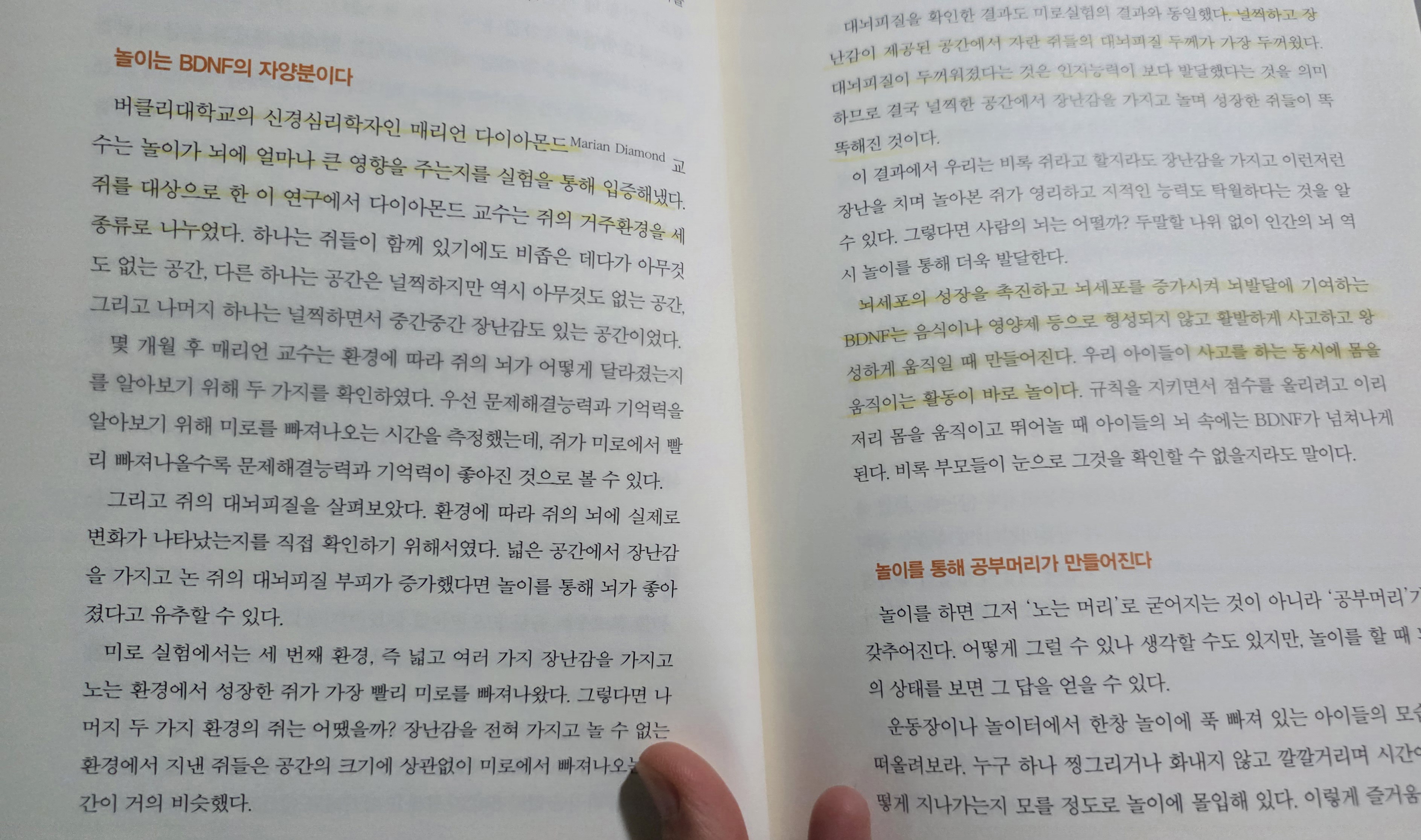 놀이는 BDNF의 자양분이다