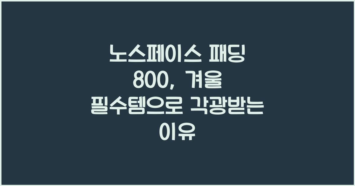 노스페이스 패딩 800