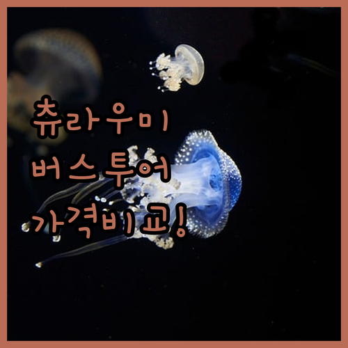 오키나와 츄라우미 수족관 버스투어 가..
