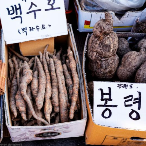 백하수오