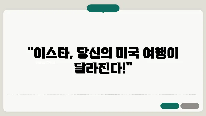 미국 이스타 신청