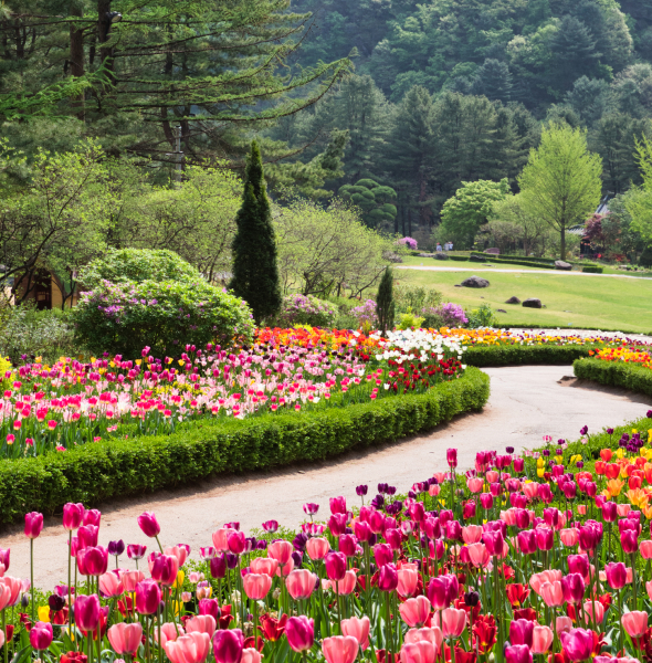아침고요수목원