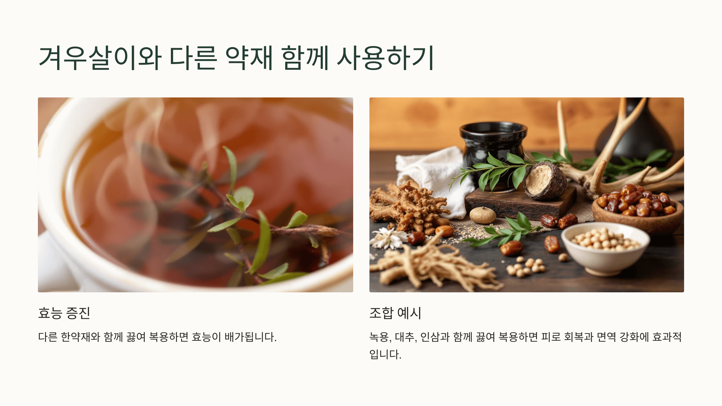 겨우살이 사진입니다.