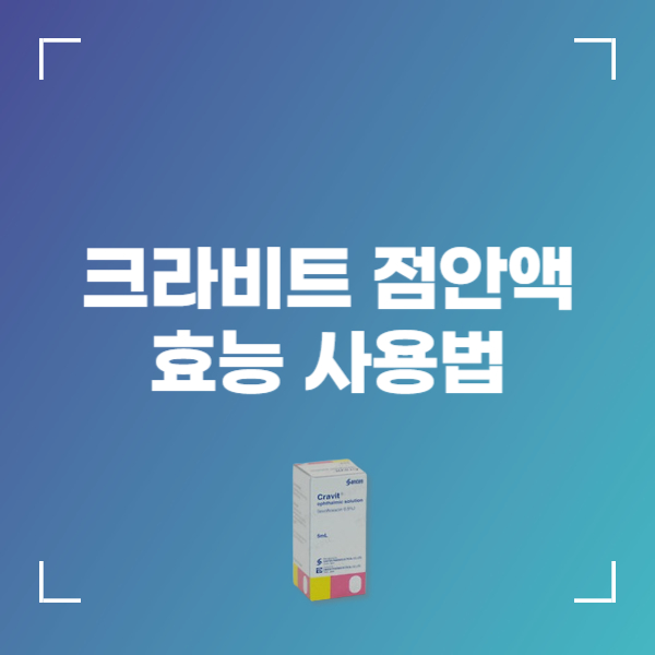 크라비트 점안액 성분 효능 사용법 부작용