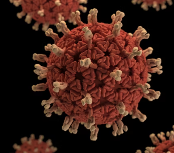 대상포진 초기증상 원인 예방 관리법