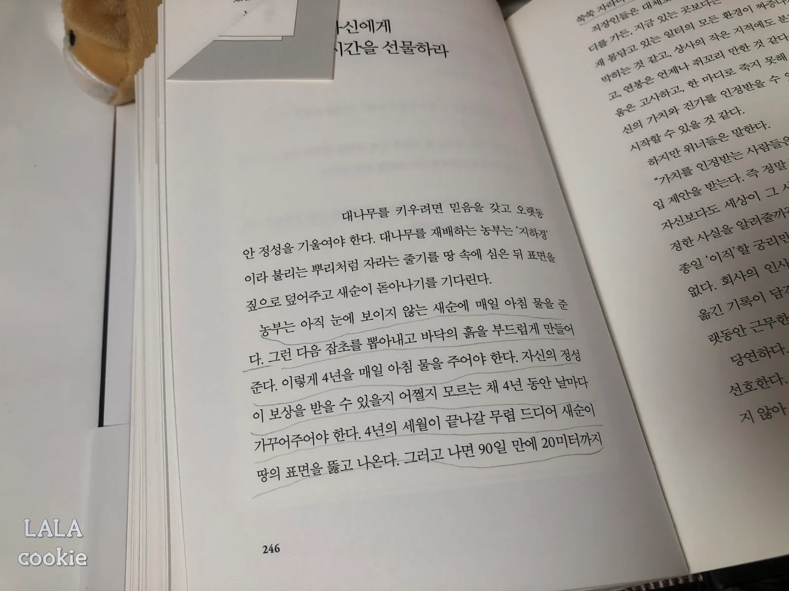자기계발서-추천-베스트셀러-보도셰퍼의-이기는-습관-책-내용-p.246