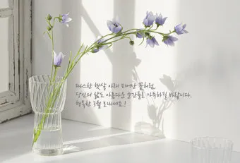 마음을 울리는 따뜻한 감성 인사말 모음 어떤 순간에 활용할까_21