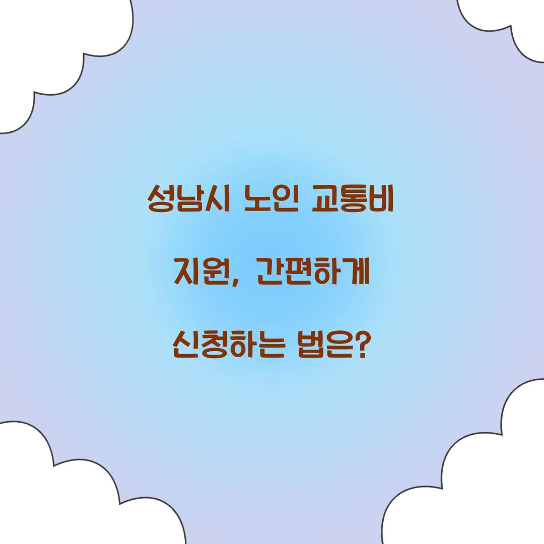 성남시 노인 교통비 지원