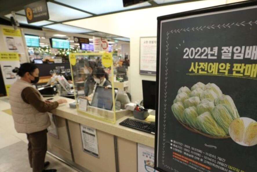 절임배추 20kg 가격 김장배추 가격