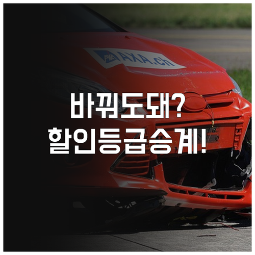 오토바이 바꿔도 할인등급 유지하는 승..