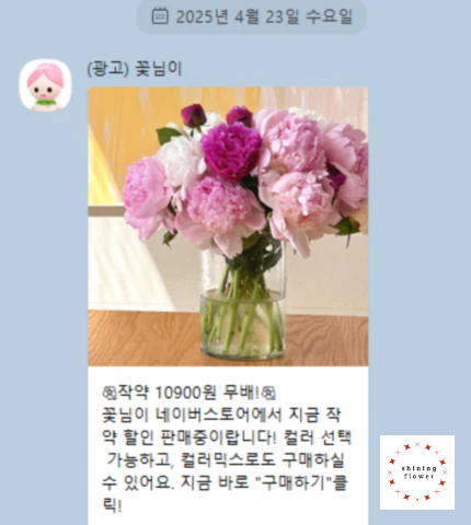 꽃님이-작약 할인판매 카카오톡