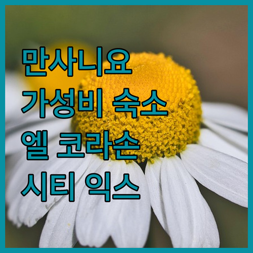 멕시코 만사니요 여행, 가성비 숙소는