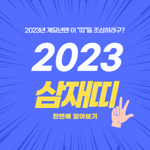 2023년 삼재띠