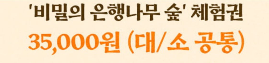 에버랜드 비밀의 은행나무숲 입장료