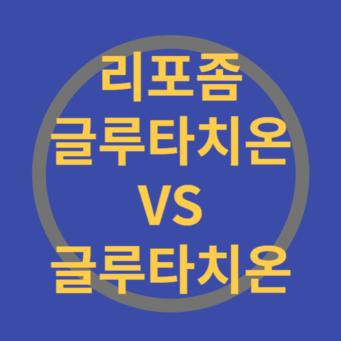 글루타치온 차이점 효과