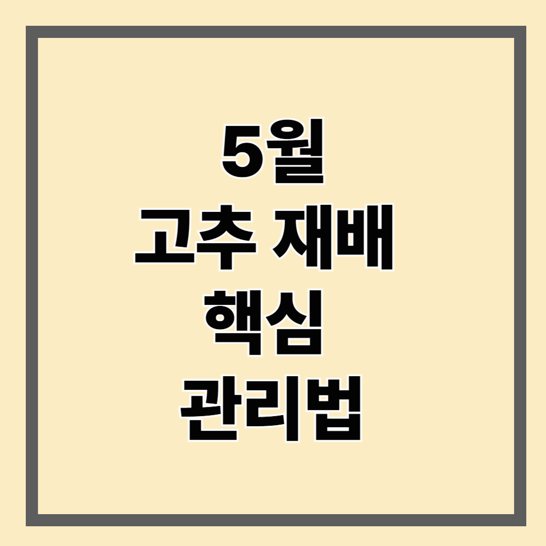 5월 고추 재배 핵심 관리법 – 병해충 방제부터 토양 비료까지
수익 올리는 실전 농사 전략