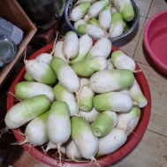 2024김장철 인기 김장재료