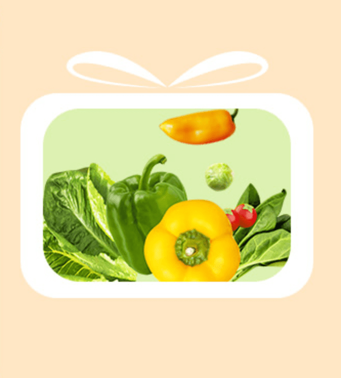 경기 살리기 통큰 세일 쿠폰받기 할인행사