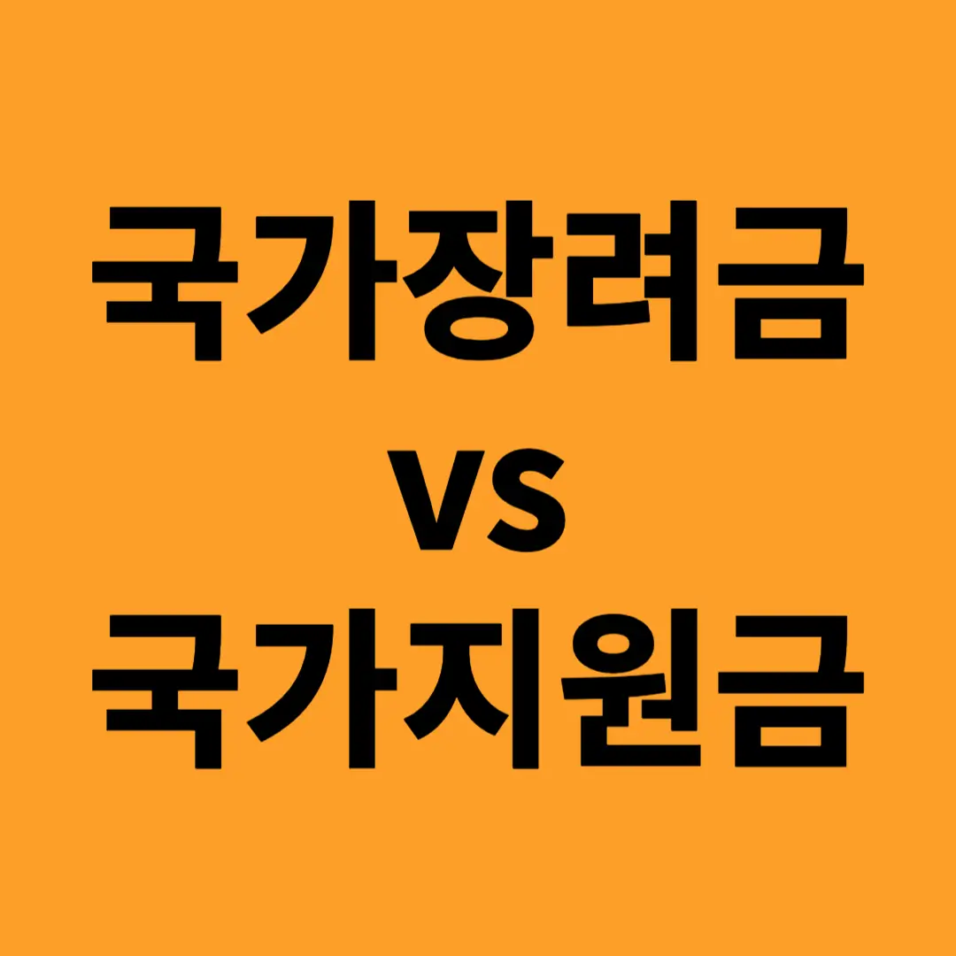 국가장려금vs국가지원금