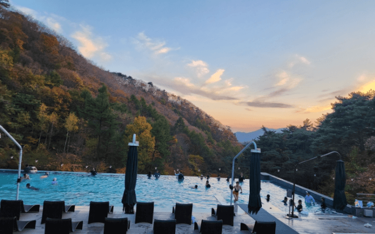 리솜포레스트-수영장