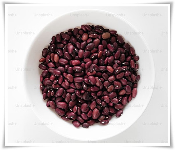 텃밭 "6월, 팥을 심어보세요!" 팥 한 줄 심고 건강과 행복은 두 배로!