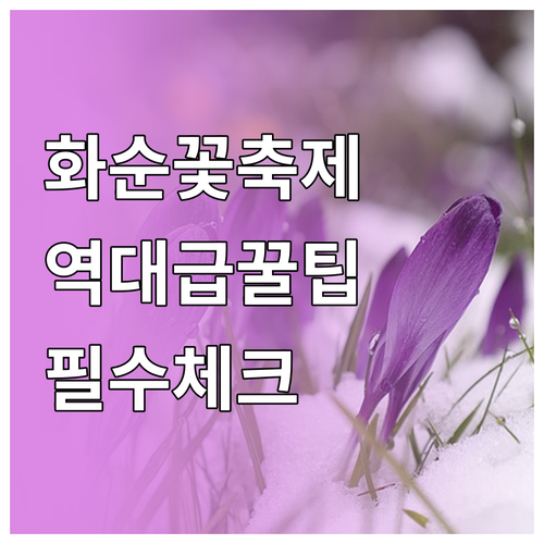 화순 고인돌 봄꽃 축제 기간 장소 및..