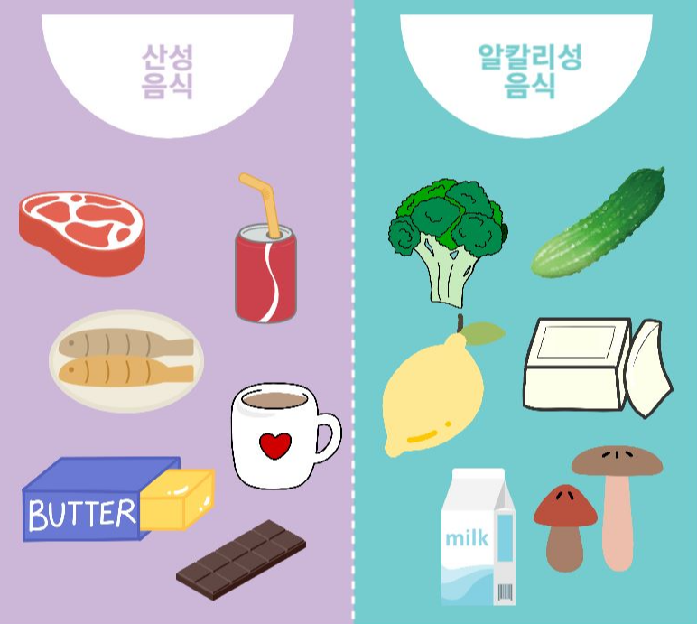 아들 낳는 법