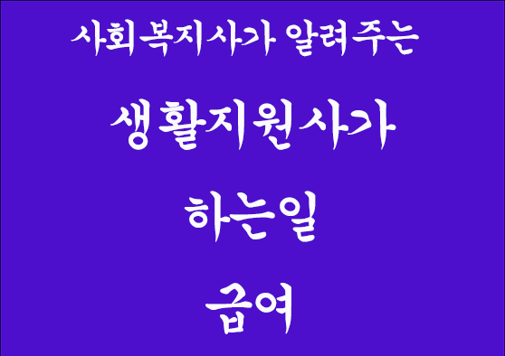 생활지원사가 하는일, 급여 정보 인포그래픽