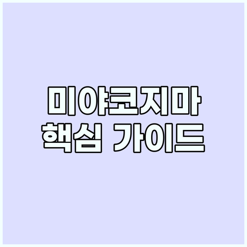 미야코지마 가이드: 최고의 해변과 드..