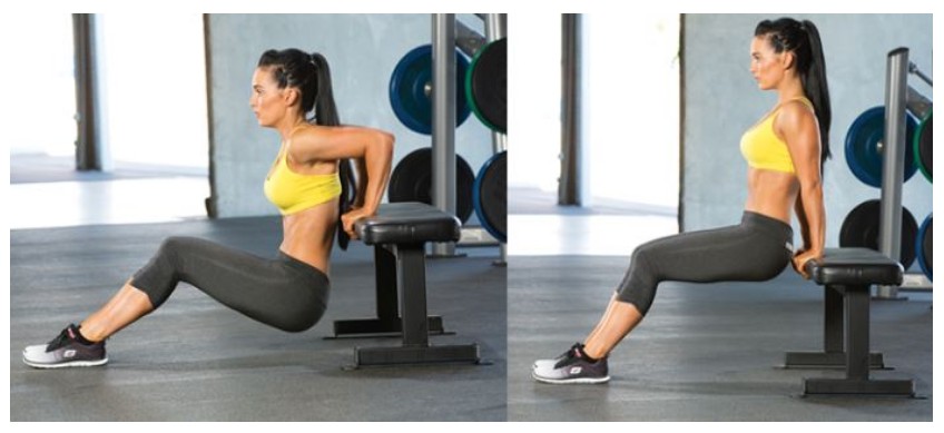 벤치 딥스 (Bench Dips)