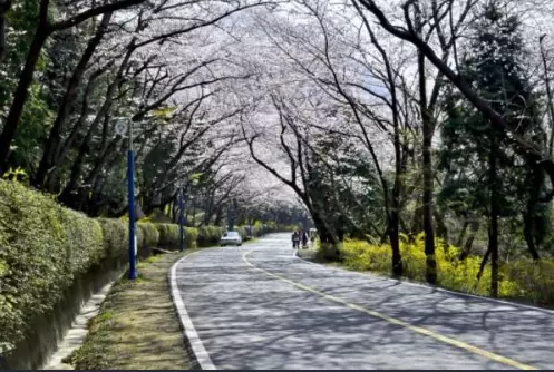 장복산-드라이브-코스