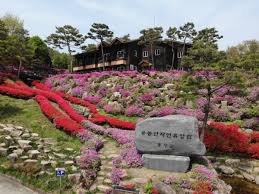 홍성 가볼만한곳 베스트 10 모음