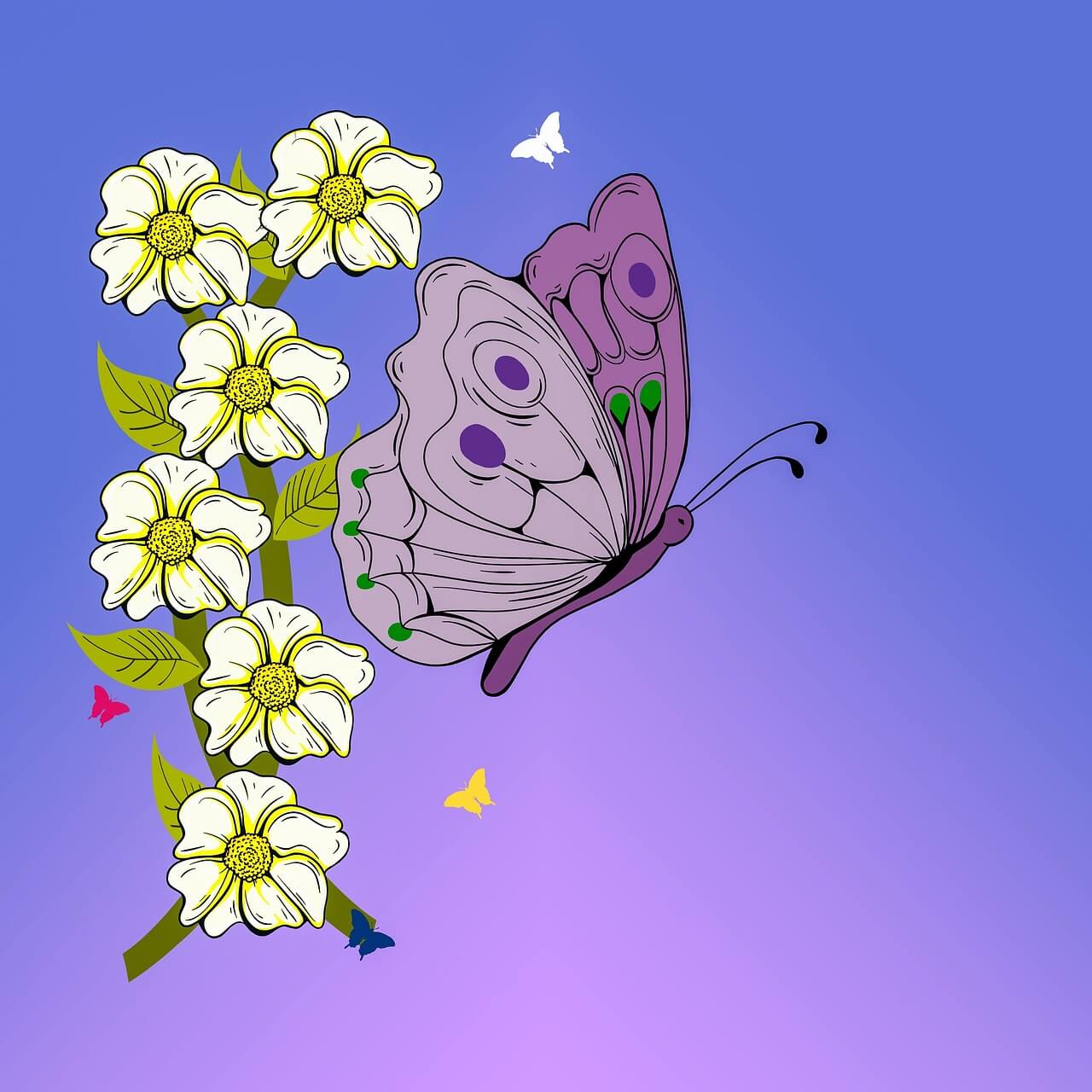 호접란