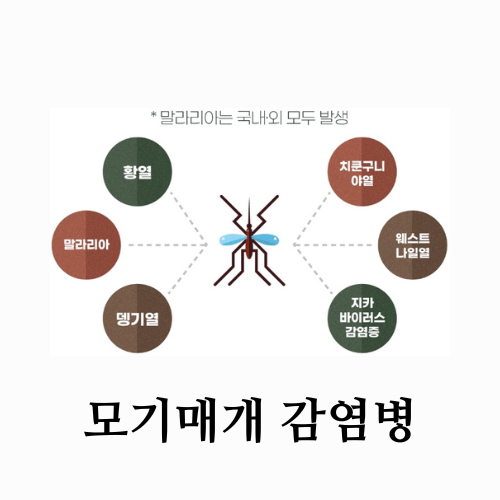 모기매개 감염병