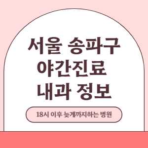 서울 송파구 야간진료 내과 병원 (18시 이후 늦게까지하는 병원)