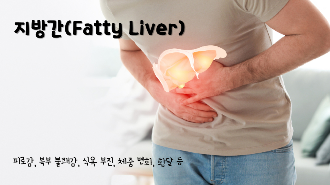 지방간(Fatty Liver)
지방간의 주요 증상 : 피로감, 복부 불쾌감, 식욕 부진, 체중 변화, 황달 등